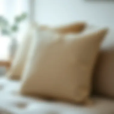 Essential Maintenance for Pillow Inserts Maintenance tips for prolonging the life of pillow inserts