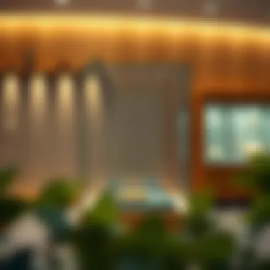 Acrylic Versus Wooden Cases: A Comparative Study Comparison of acrylic display cases and wooden cases