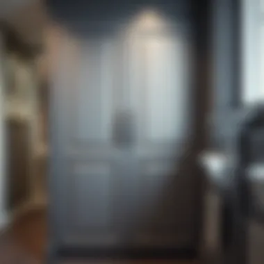 Sophisticated Cabinet Door Design Elegant cabinet door with unique hardware details