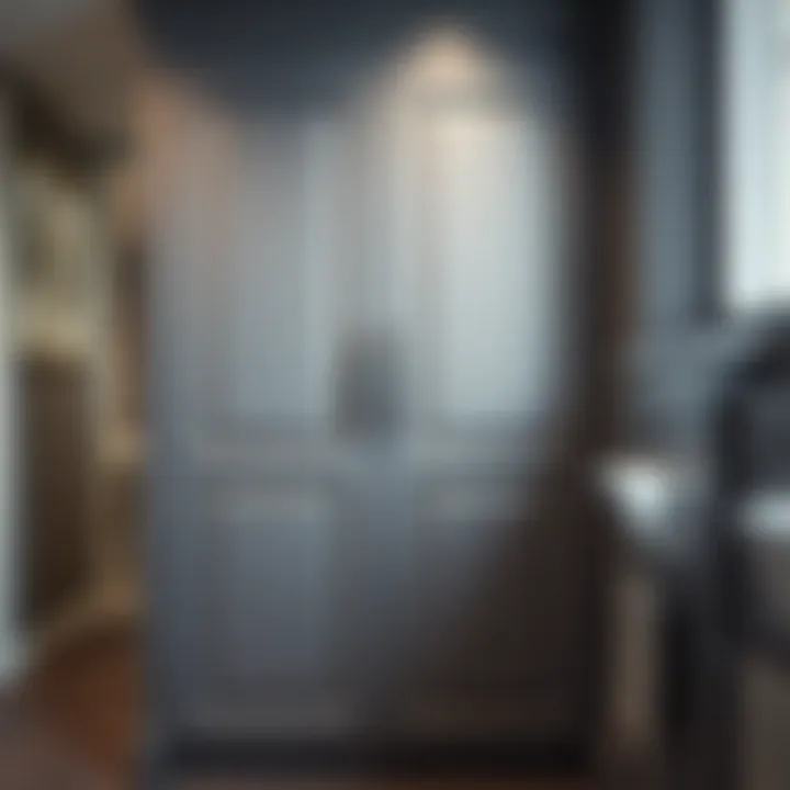 Sophisticated Cabinet Door Design Elegant cabinet door with unique hardware details