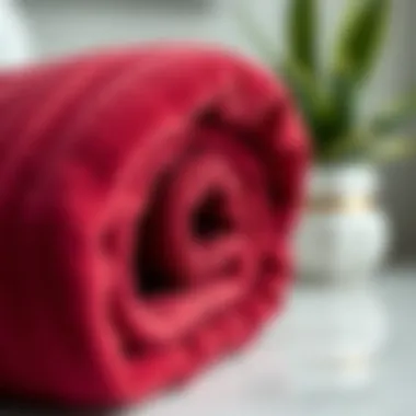 Close-up of high-quality burgundy bath towel showcasing texture and material