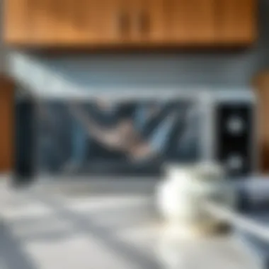 An easy-to-follow guide on cleaning splatter covers