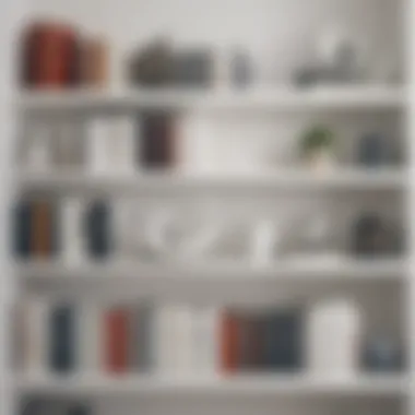 Elegant White Bookshelf Arrangement Elegant white bookshelf adorned with carefully arranged books and decor