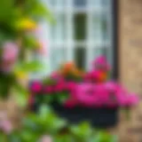 Elegant black wooden window box filled with vibrant flowers