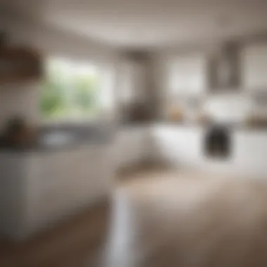 Modern Kitchen with Discount Base Cabinets Modern kitchen featuring discount base cabinets with sleek design