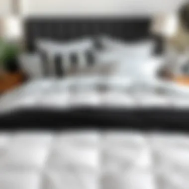 Neatly arranged bedding showcasing the versatility of a black and white comforter