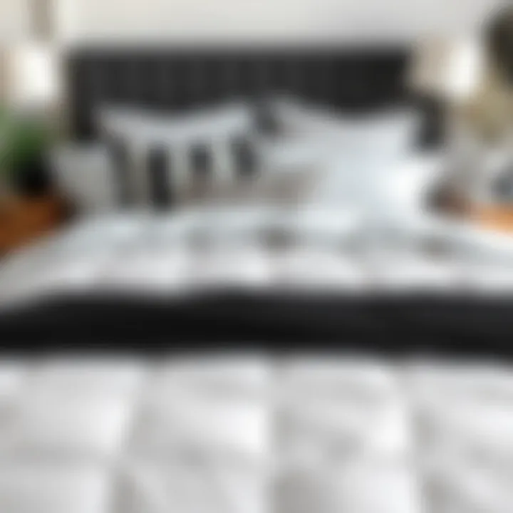 Neatly arranged bedding showcasing the versatility of a black and white comforter