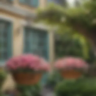 Creative Applications of Flower Basket Hangers in Gardens Creative uses of flower basket hangers enhancing garden aesthetics