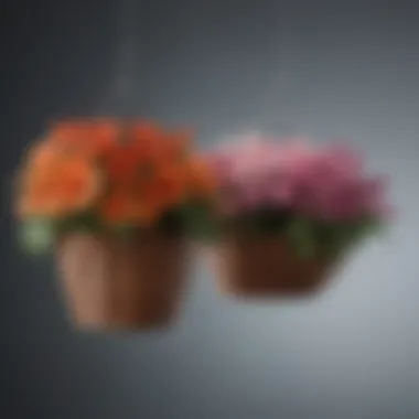 Diverse Decorative Hangers for Flower Baskets A variety of decorative hangers for flower baskets showcasing different designs and materials