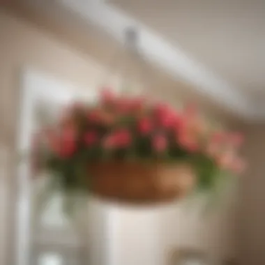 Proper Installation of Flower Basket Hangers An installation guide illustrating the proper placement of flower basket hangers
