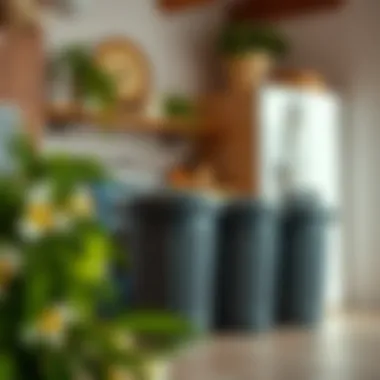 Diverse Designs of Plastic Garbage Cans Different designs of plastic garbage cans complementing kitchen decor