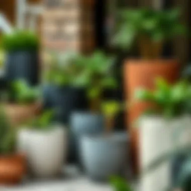 A selection of self-watering planters in various sizes and materials