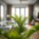 Close-up of a small fake palm plant in a stylish living room