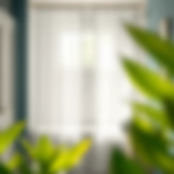 Natural Light Enhancement with Voile Voile shower curtain enhancing natural light in a bathroom