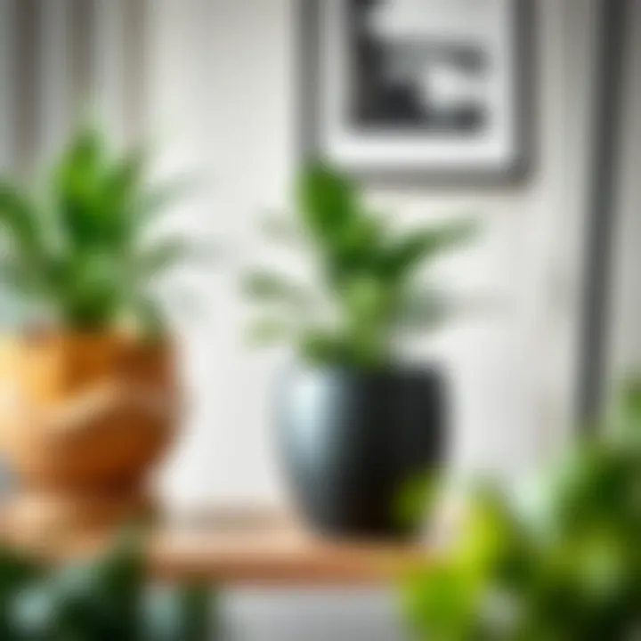 Strategic Placement in Home Decor 8-inch plant pot placed on a home shelf