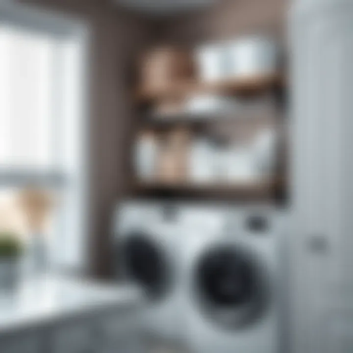 Functional Shelf for Laundry Organization Functional wall-mounted shelf with hooks and bins for laundry essentials