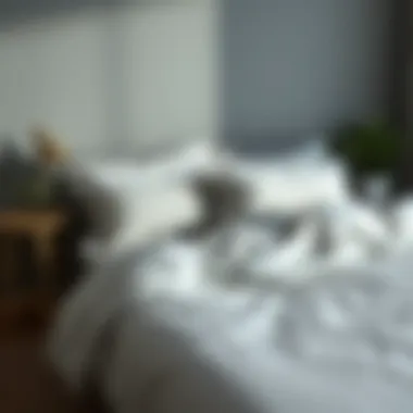 Comfortable Bedding with Waterproof Protection A cozy bed setup featuring a waterproof sheet cover.