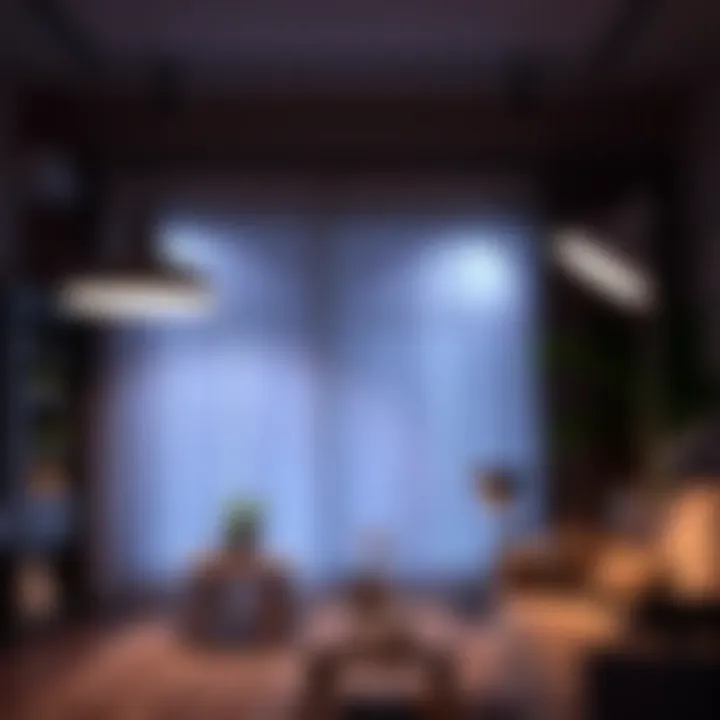 Practical setup with 125v 60w bulbs in various lighting scenarios