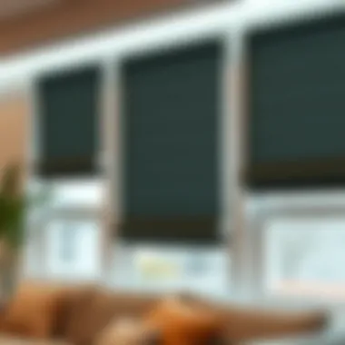 Contemporary shades displaying versatility and functionality