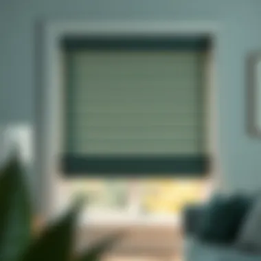 Elegant selection of window blinds showcasing various styles and colors