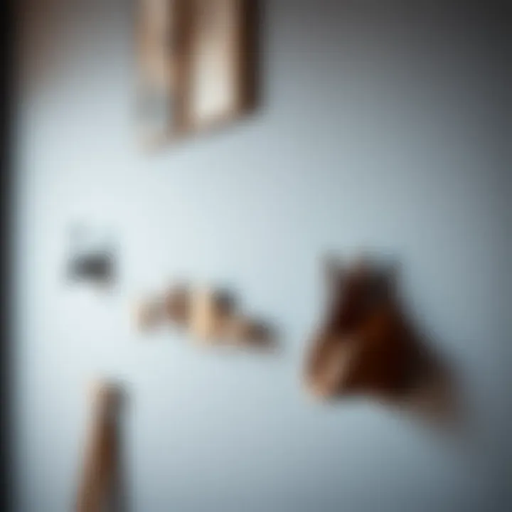 Creative wall-mounted hooks with decorative elements