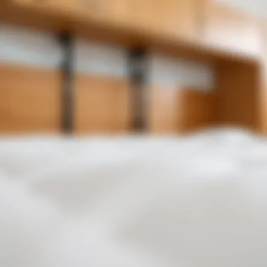 Close-up of Murphy bed mechanism showcasing quality construction