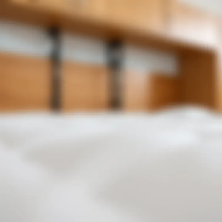 Close-up of Murphy bed mechanism showcasing quality construction