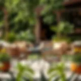 Stylish Outdoor Chair Arrangement Stylish small outdoor chairs arranged around a table