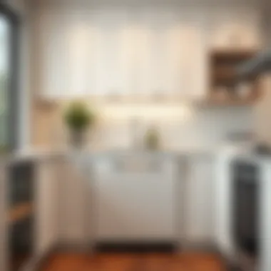 Elegant Integration of a Dishwasher Elegant integration of a dishwasher within modern cabinetry