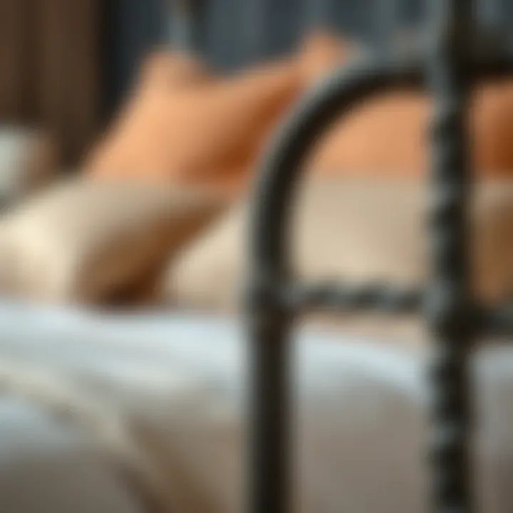 Detailing and Texture of Raw Iron Bed Close-up of raw iron bed detailing emphasizing texture