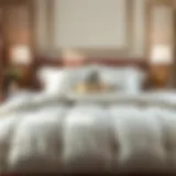 Luxurious comforter set displayed on a neatly made bed in an elegant bedroom setting