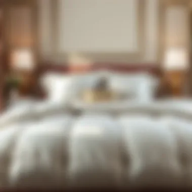 Luxurious comforter set displayed on a neatly made bed in an elegant bedroom setting