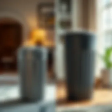 Side-by-side comparison of small and large trash cans in a home setting
