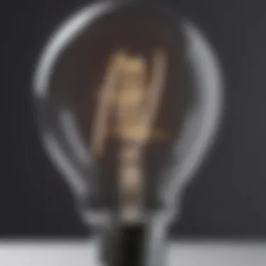 Detailed view of type G medium base bulb showcasing filament design